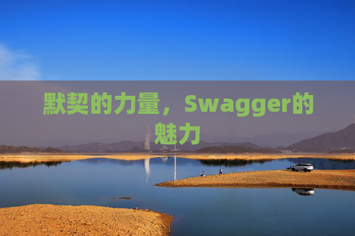 默契的力量，Swagger的魅力